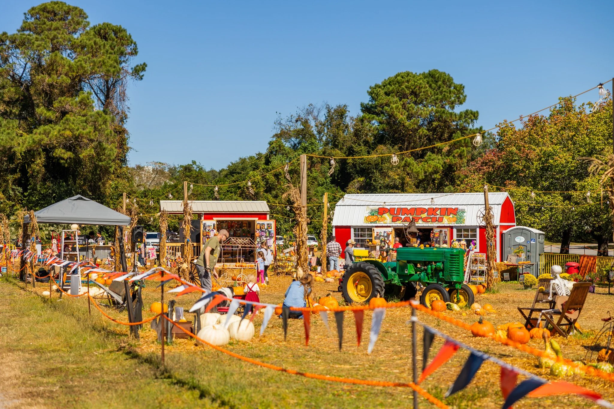Dreaming Farm Charleston Sc
