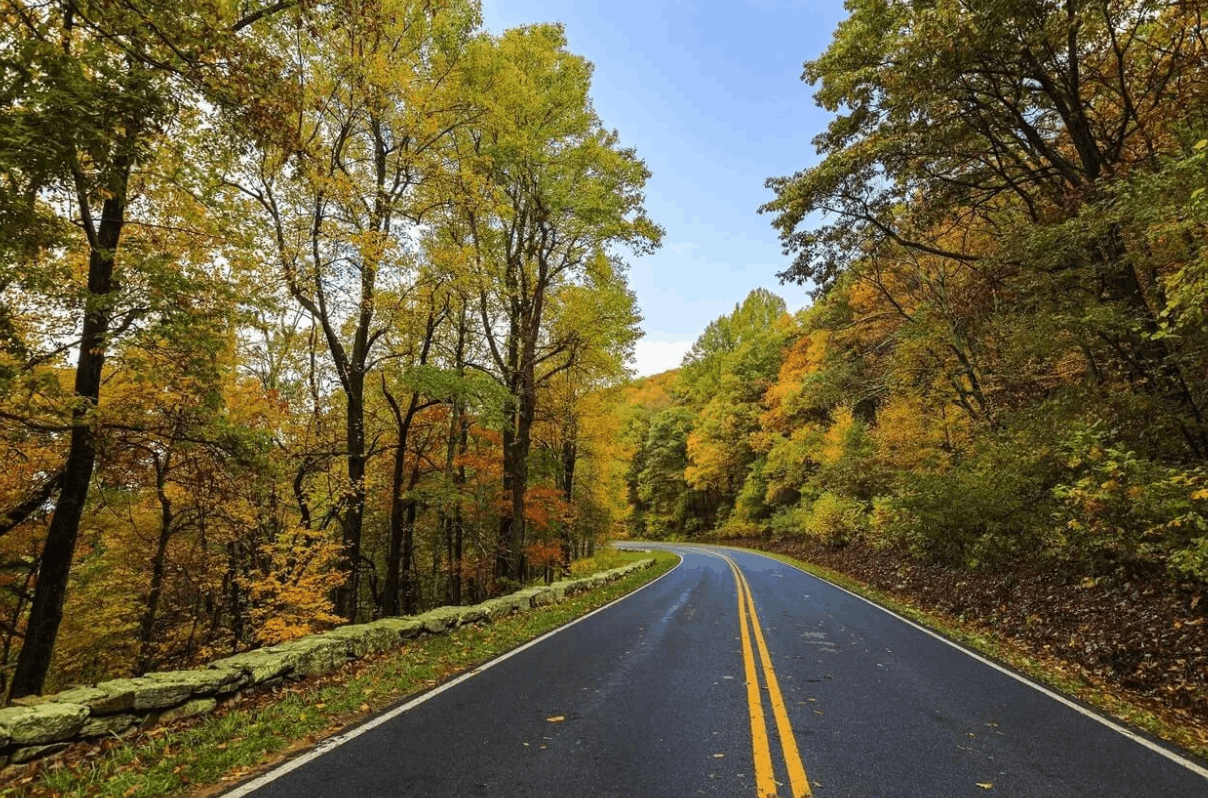 Autumn road through a colorful forest with fall foliage.