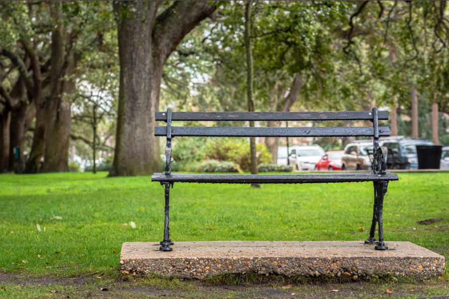 Peaceful park bench surrounded by lush greenery in Charleston, South Carolina.