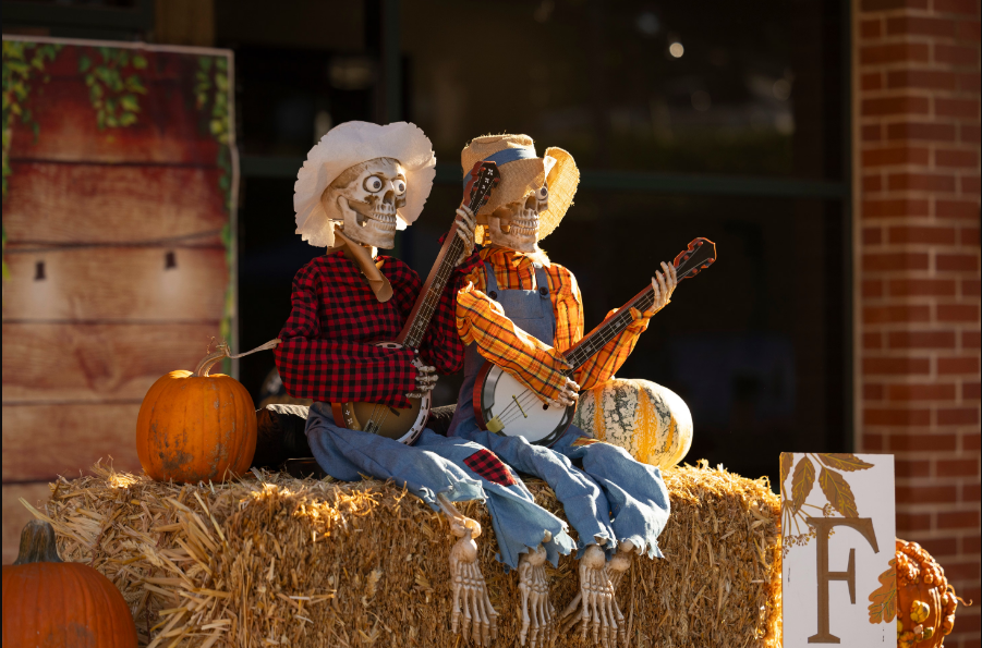 Quirky Halloween skeletons in cowboy outfits playing banjo on hay bale, surrounded by pumpkins.
